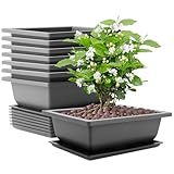 AKOLAFE 8 Stück Bonsai Schale Kunststoff 22.5x16.5x7.5cm Bonsai Topf Bonsaischale mit Untersetzer...
