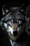 Diamond Painting Wolf Diamond Painting Erwachsene Tier Kreativ Set für Erwachsene und Kinder, 5D...