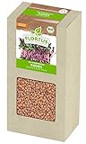 FLORTUS BIO Keimsprossen Radies (200 g) | Gesunde & leckere Keimsprossen | Sprossensaat |...