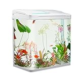 VIALIA Aquarium Komplettset mit LED-Beleuchtung, Pumpe und Filter, 38x24x43 cm, 30 Liter, Weiß,...