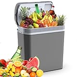 24 Liter Kühlbox, 2 in1 elektrische Kühlbox 12V 230V Kühlen und Wärmen Mini Kühlschrank mit ECO...