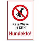 WANDKINGS Hinweisschild - Diese Wiese ist kein Hundeklo - stabile Aluminium Verbundplatte - Wähle...