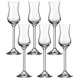 LEONARDO HOME Daily, robuste Schnaps Grappa geeignet, Gläser-Set mit 100-ml Nutzinhalt, 6-teilig, 6...