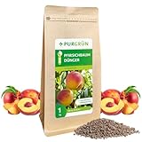 Purgrün® Bio-Pfirsichbaum-Dünger 1 kg – Organisch-mineralische Rezeptur – Feinkörniges...