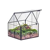 NCYP 10,8x10,8x12,5 cm Geometrisches Mini Pflanzenterrarium aus Glas mit Deckel, Schwarz Übertopf...