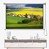 EIYAVVIDV Beamer Leinwand 30 40 50 60 Zoll Heimkino HD Projektionswand Manuell Rollo-Leinwand,...