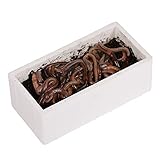 Natursache Terra Forming Paket „Jack“ I Natürlicher Bodenaktivator für Hochbeete und...