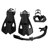 Buhdjfnke Schnorchelausrüstung für Erwachsene, Panorama-Schnorchelset, Schnorchelmaske, Drys...