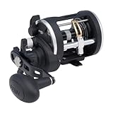 PENN Rival Level Wind Multirolle für Boote und Kajaks – Hochleistungs-Salzwasserrolle für...
