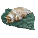 Kustimantu Katzenbett Matte - Weiche Katzenkissen Hundebett - Waschbare rutschfeste Haustierzubehör...