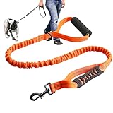 Hundeleine, reflektierend, stoßdämpfend, mit komfortablem Griff, starke Hundeleine mit hoher...