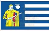 KÖNIGSBANNER Zertifizierte Flagge Fahne Tellingstedt - HEI 30 x 45cm - Autoflagge doppelt gesäumt...