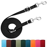 PETCOOZ Hundeleine 3 m Verstellbare Schleppleine mit 2 Karabiner, Verdickte Doppelleine Führleine...