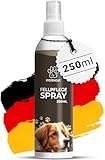 PFOTENGUT® Fellpflege Spray Hund [250 ml] - von Tierärzten entwickeltes Pflege- und...