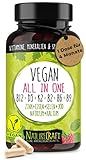 Vegan All-in-One - Vitamin B12+D3+K2+B2+B6+B9 Folsäure + Zink + Eisen + Selen + Natrium + Kalium +...