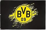 BVB Fahne 150x100