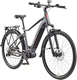 TELEFUNKEN E-Bike Herren 29 Zoll, Elektrofahrrad Mittelmotor, 10-Gang Kettenschaltung, Hydr....