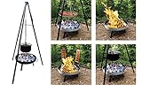 Jürgen Westerholt GmbH Multi-Grillset Feuerschale Grillrost Kochtopf 15L Fischfilethalter...