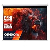 celexon Basic Rollo-Leinwand 100' | 200x150 cm 4:3 | ausziehbare Full-HD 4K Beamer-Leinwand für...