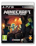 Minecraft (Sony PS3)