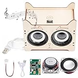 BIZOI Bluetooth Lautsprecher Experimente, Geschenk Junge 6-12 Jahre, Bluetooth-Lautsprecher DIY...
