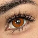 Daily Tageslinsen Farbige orange Weiche Tages-Kontaktlinsen | Amber Cat | 6 Stück | BC 8.8 mm |...