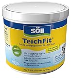 Söll 81792 TeichFit 500 g - Grundpflegemittel, Teich Wasseraufbereiter, Stabilisator für...