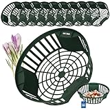 KOTARBAU® 10er Set Pflanzkörbe für Blumenzwiebeln Zwiebel-Pflanzkorb Blumenzwiebel-Schale...