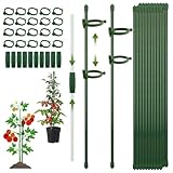 CNMTCCO Pflanzenstütze, Rankhilfe, 20 Stück Pflanzstäbe, mit 20 Karabinern Ausgestattet, mit 10...