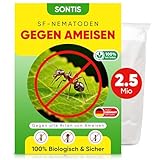 SONTIS - Aktive SF-Nematoden gegen Ameisen – 2,5 Mio für 5qm - Natürliche Unterstützung bei...