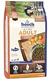 bosch HPC Adult mit frischem Lachs & Kartoffel | Hundetrockenfutter für ausgewachsene Hunde aller...