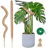 Moosstab Monstera für Pflanzen, SproutMaven 2 x 60cm Biegsame Monstera Rankhilfe mit Zubehör für...