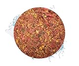 Warnick´s Tierfutterservice Fischfutter - Zierfischflocken Premium - 2000ml Tüte - hochwertiges...