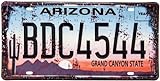 Retro Nummernschild - Route 66 - Arizona - USA Vintage Auto Motorway Deko Schild, Blechschild, 30 x...