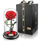 YourRoses® echte Premium Rose im Glas mit Einer wunderschönen Geschenkbox | Lange Haltbarkeit &...