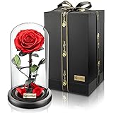 YourRoses® echte Premium Rose im Glas mit Einer wunderschönen Geschenkbox | Lange Haltbarkeit &...