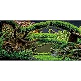 MIRRORANG 76x46cm Aquarium Hintergrund Zweige Terrarium Hintergrund Wasserpflanze Flussbett & See...