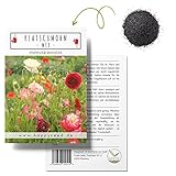 Klatschmohn Samen (Papaver rhoeas) - Wunderschön blühende Mohnblumen mit langer Blütezeit für...