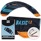 Wolkenstürmer® Paraflex Basic 2-Leiner Lenkmatte 1.2 (türkis) - Flugfertiger Kite Drachen -...