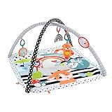 Fisher-Price Tierfreunde Kontrast-Spieldecke | Spielbogen Baby Spielzeug mit Musik und Licht |...