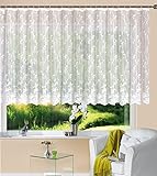 Gardine Store Jacquard Mainz HxB 145x300 cm Kräuselband Universalband Weiß Blumenmuster...