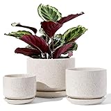 LE TAUCI 3er Pack Keramik Blumentöpfe, 11+13+17 cm Durchmesser Klein Übertöpfe Set, Blumentopf...