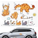 Auto Chat Aufkleber Funny Bumper Sticker | Humorvolle Design Kralleneffekt, originelle...