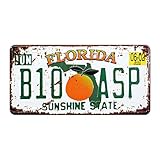 Florida B10 ASP Auto Nummernschild Auto Tag Home/Cafe Bar/Pub/Restaurant/Ausstellung Wand Decor...