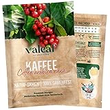 valeaf Zwergkaffee Strauch Samen (Coffea arabica nana) - Premium Saatgut für die Anzucht einer...