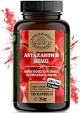 Astaxanthin - 120 Kapseln je 12mg - WICHTIG: 100% VEGAN & natürlich gewonnen (keine Chemie) I Beste...
