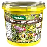 N.L. Chrestensen Blumensamen Mischung, Saatgut bienenfreundlich, Sommerblumen, Bienenweide, Bienen...