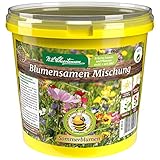 N.L. Chrestensen Blumensamen Mischung, Saatgut bienenfreundlich, Sommerblumen, Bienenweide, Bienen...