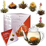 Creano Teeblumen Mix - Geschenkset ErblühTee mit Glaskanne 500ml Weißtee & Schwarztee mit 6...