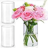 LDXDRU 3er Set Glasvasen 15cm Hohe Glasvase Zylinder, Glaszylinder für Kerzen Windlicht Glas,...